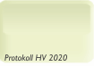 Protokoll HV 2020